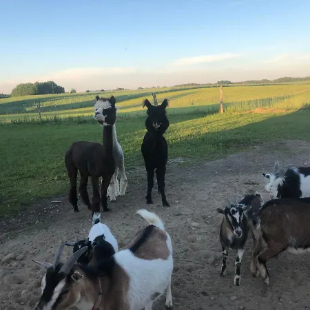 Agroturystyka Malary Pogodki Esterno foto